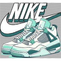 NIKE-NE 480